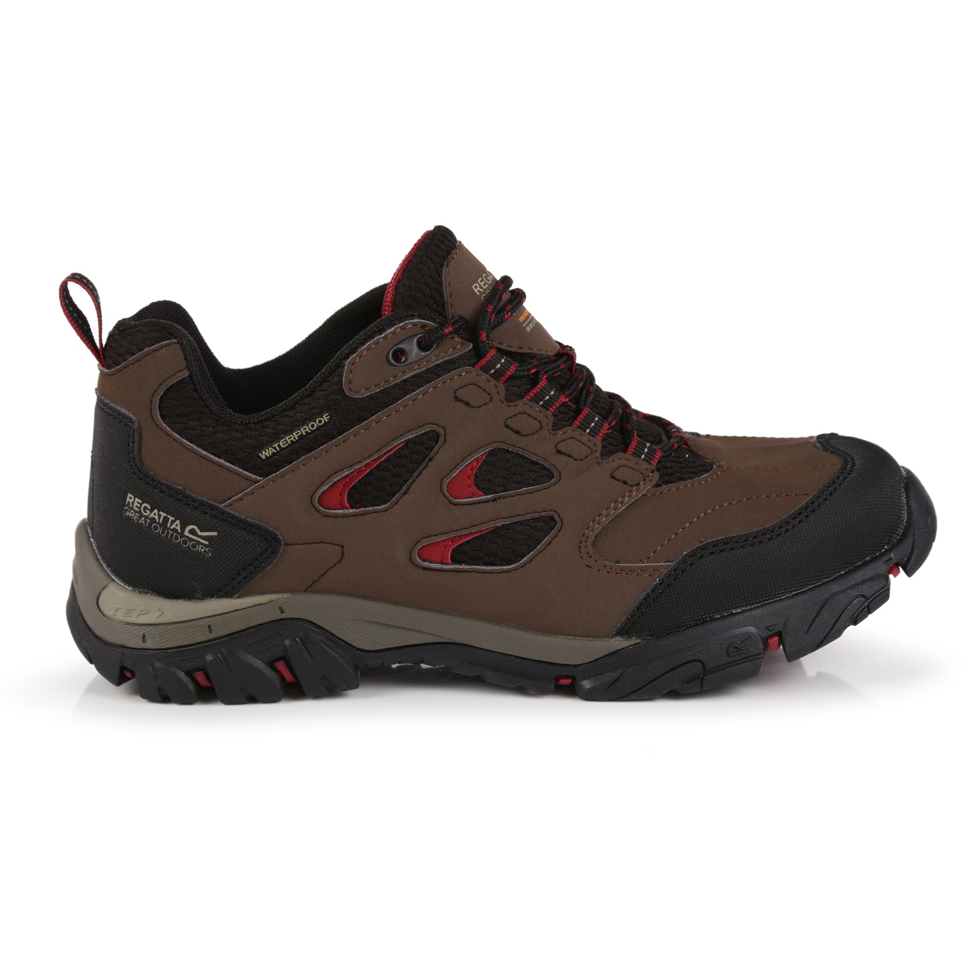 Regatta Women/'s Holcombe IEP Low Walking Shoes Brown